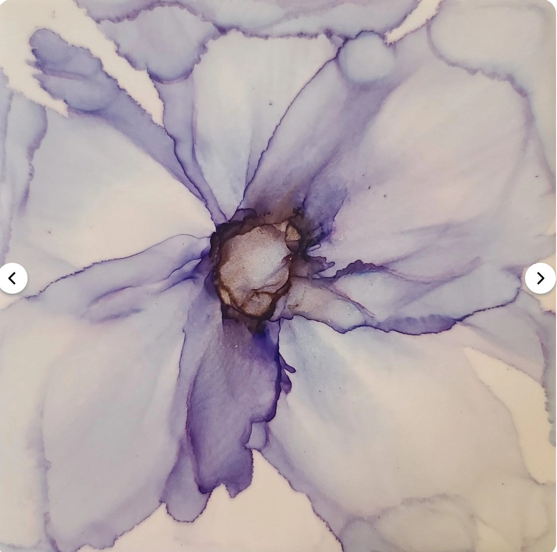 A Bloom in Quiet Radiance