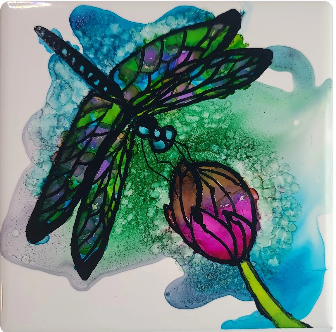 Bloomseek Whisper 6x6
