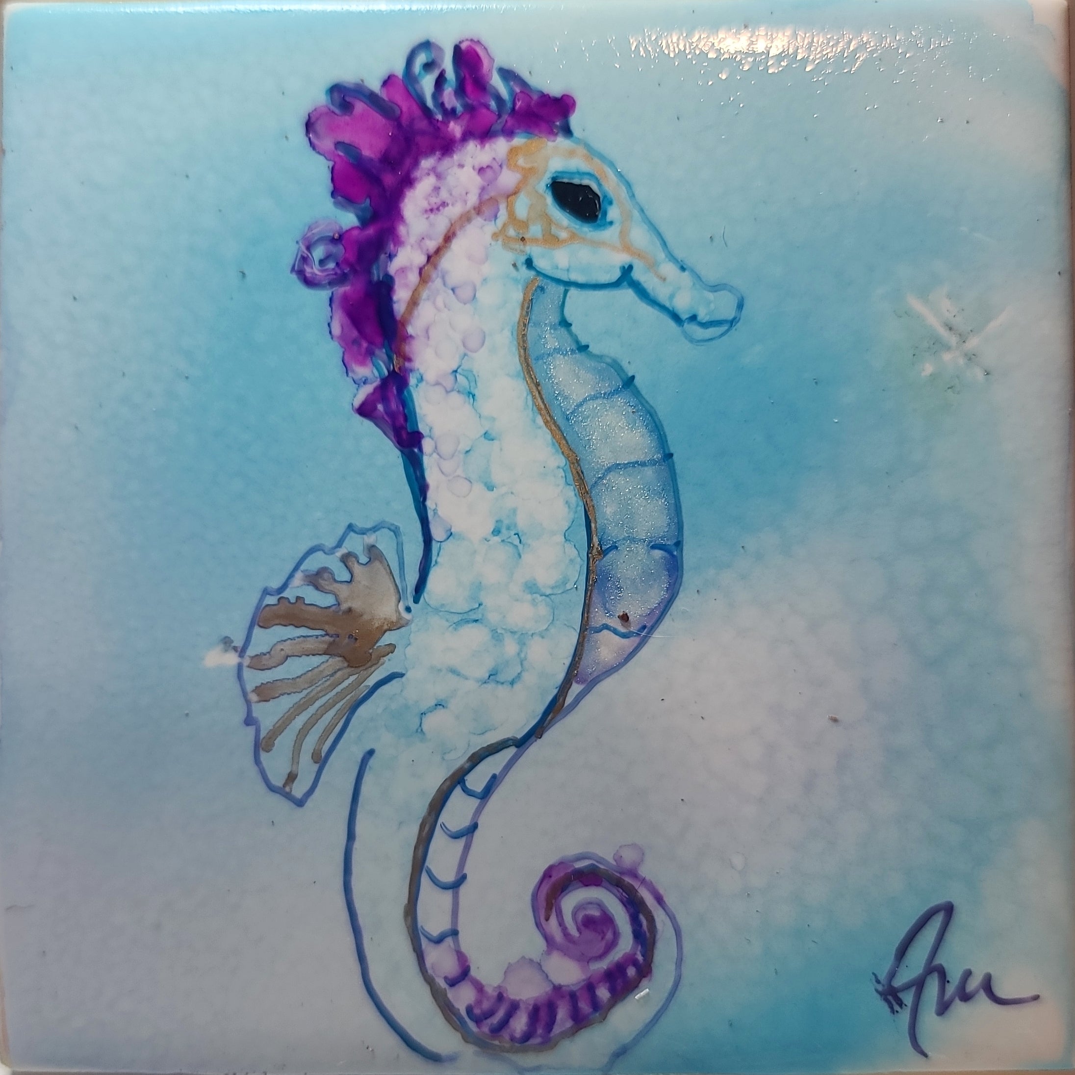 Coral Whisper 6x6