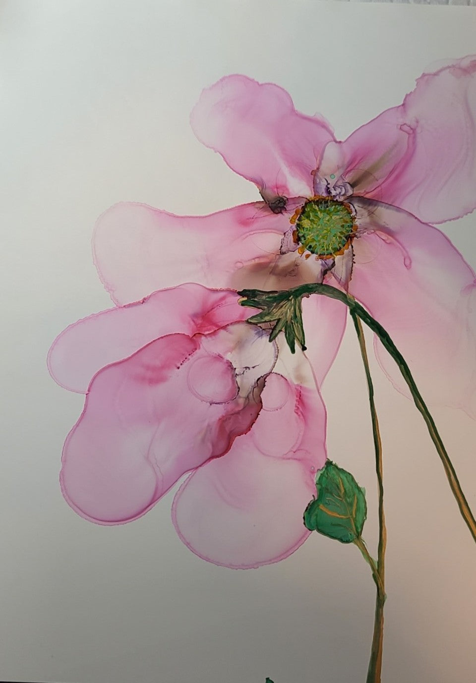 Driftblossom 9x12 Durabright
