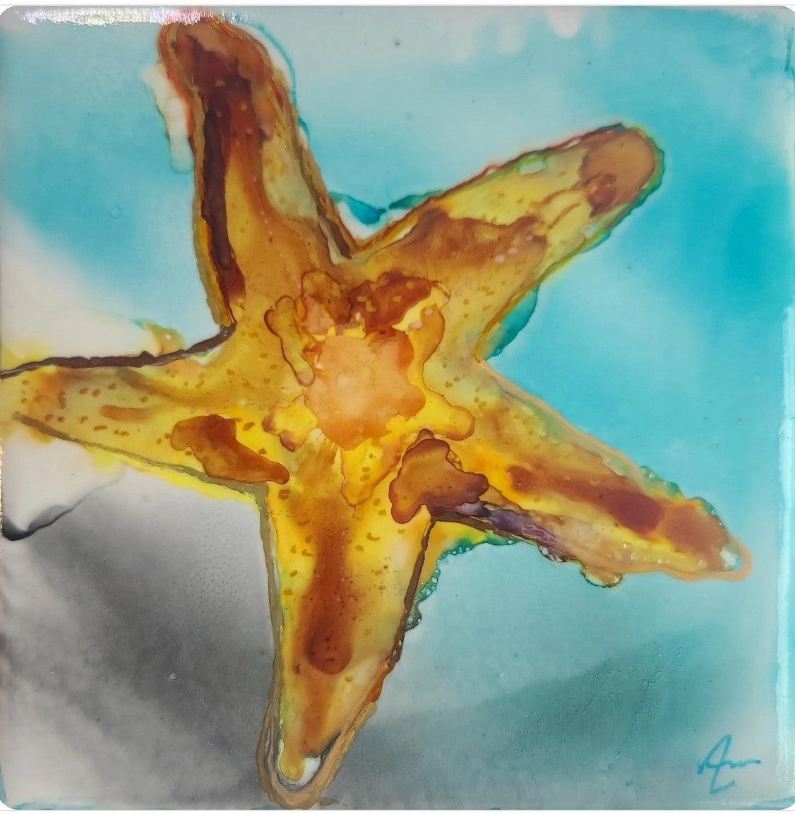 Ember-Tide Star 6x6