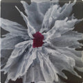 Roseveil