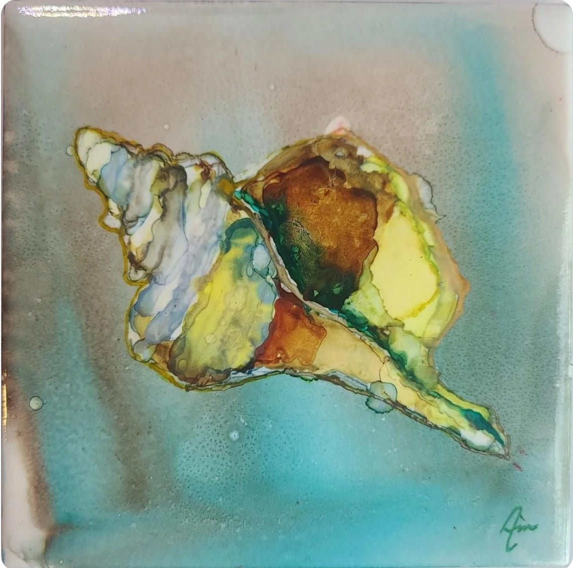 Seafold Oracle 6x6