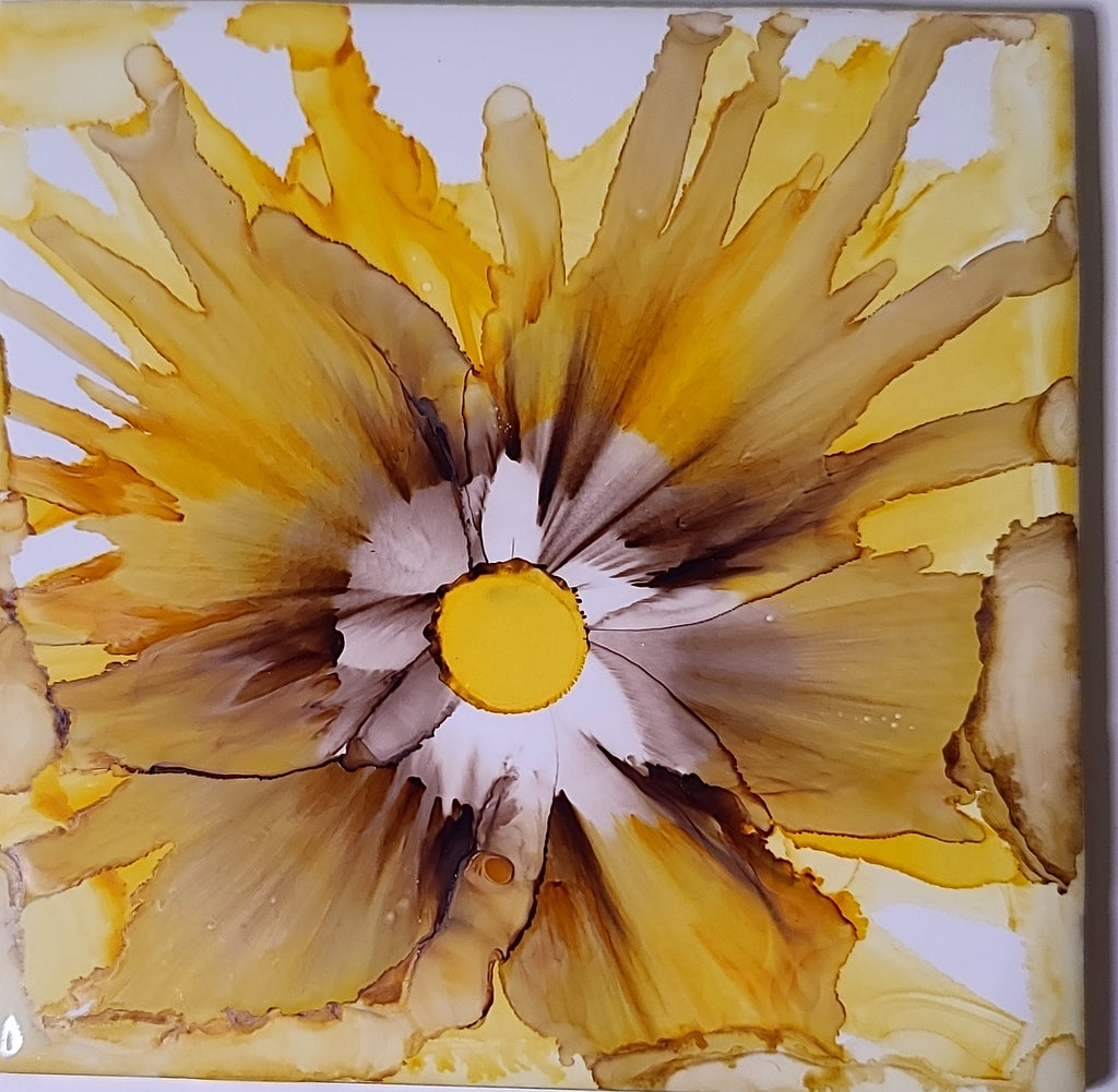 Sunpetal Blooms