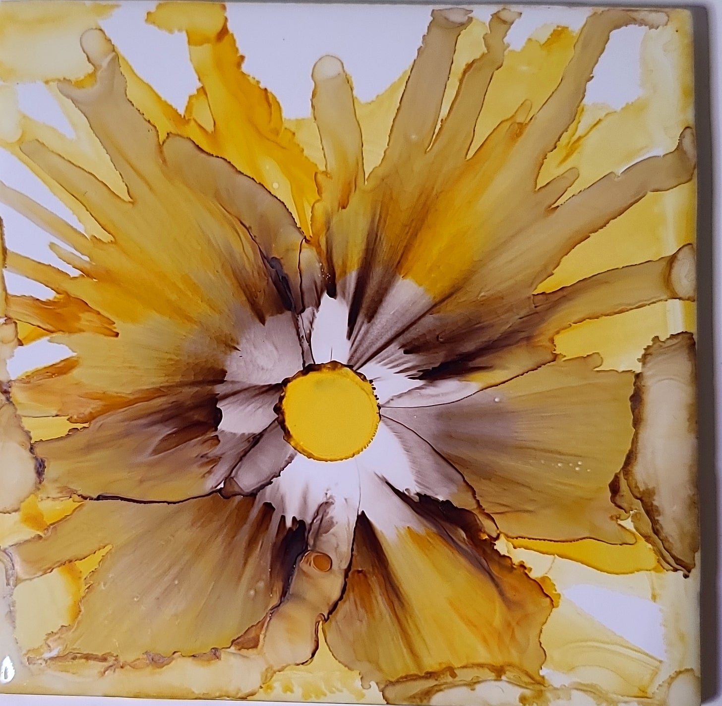 Sunpetal Blooms