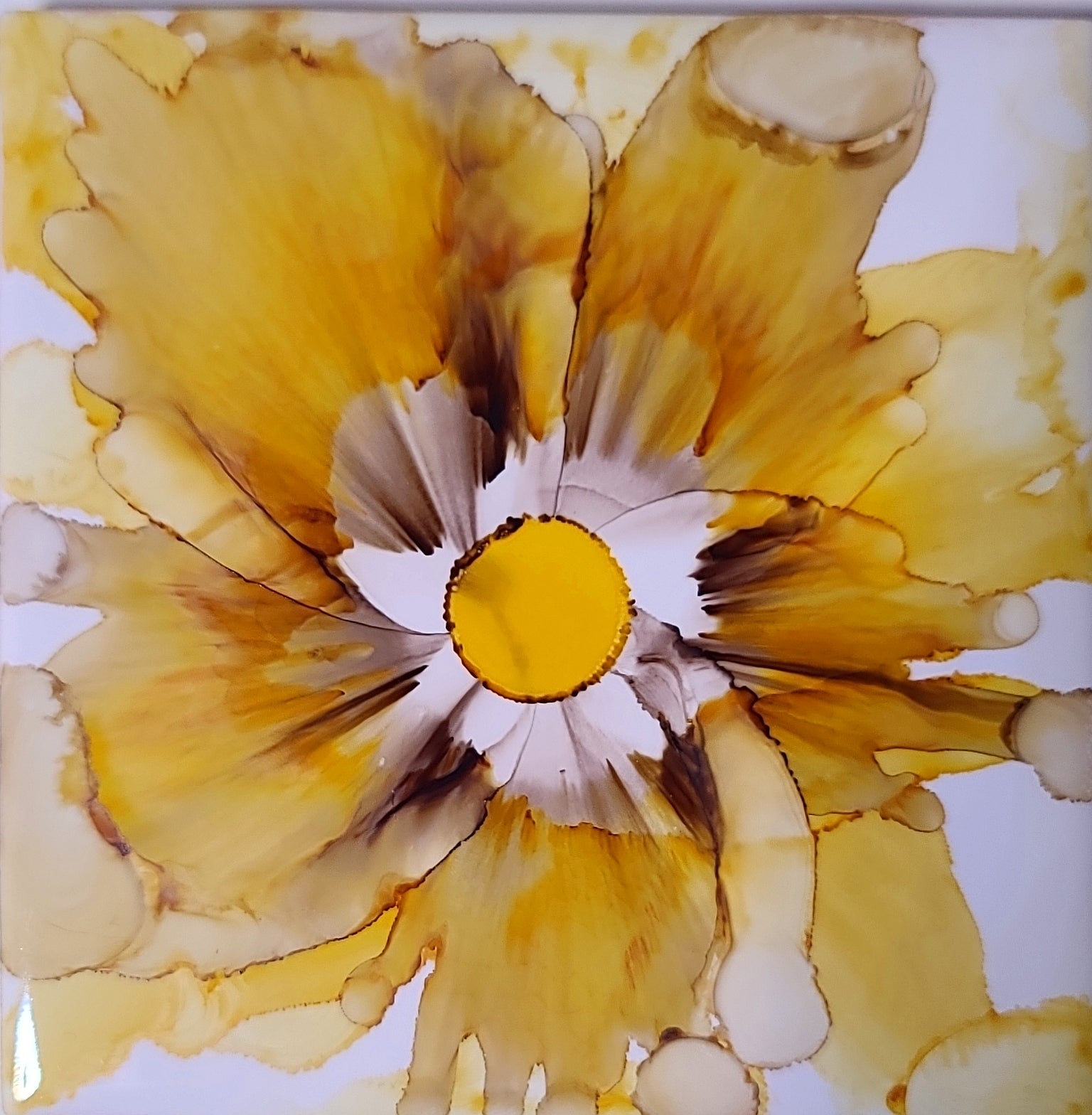 Sunpetal Blooms