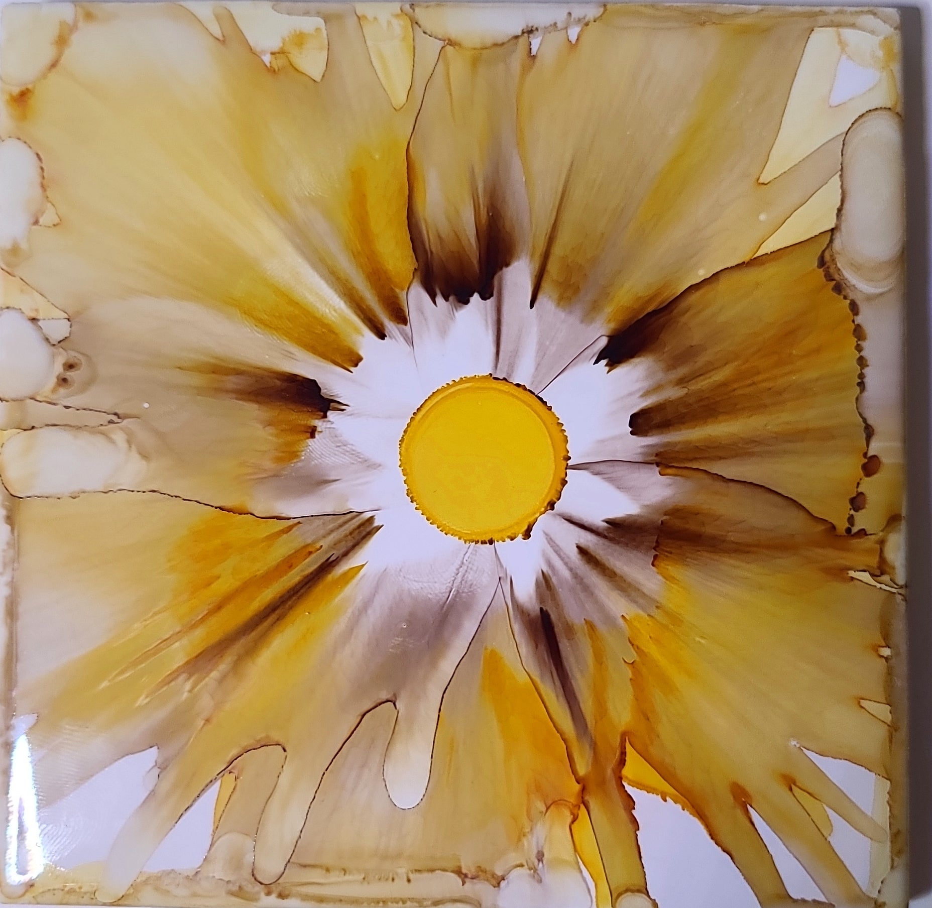 Sunpetal Blooms