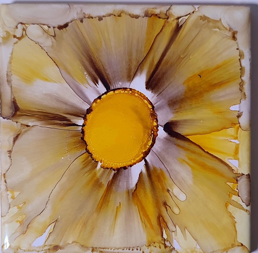 Sunpetal Blooms